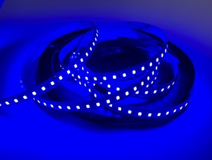 LED pásek modrý | 2835 | 120LED | 20W | 24V | IP20 | 450nm | 10MM |