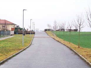 Pouliční LED svítidlo s řízením | 15W | IP66 venkovní | 230V |