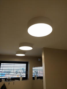 Stropní kruhové LED svítidlo RENA | bílé | 30W | 40cm | 2550lm |