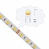 LED pásek CCT 5050 | 2V1 | CRI93 | 60LED | 14,4W | 24V | IP20 | 10MM |